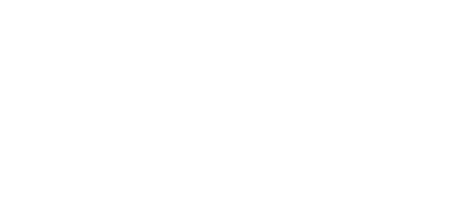 THE INDIAN SHOE COMPANY
